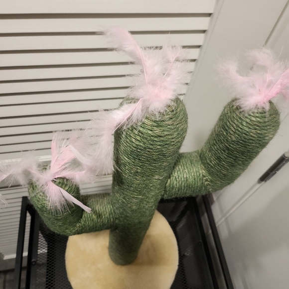 Wholesale Green Cactus Cat Scratching Post with Quality Jute Rop - Picture 4 of 6